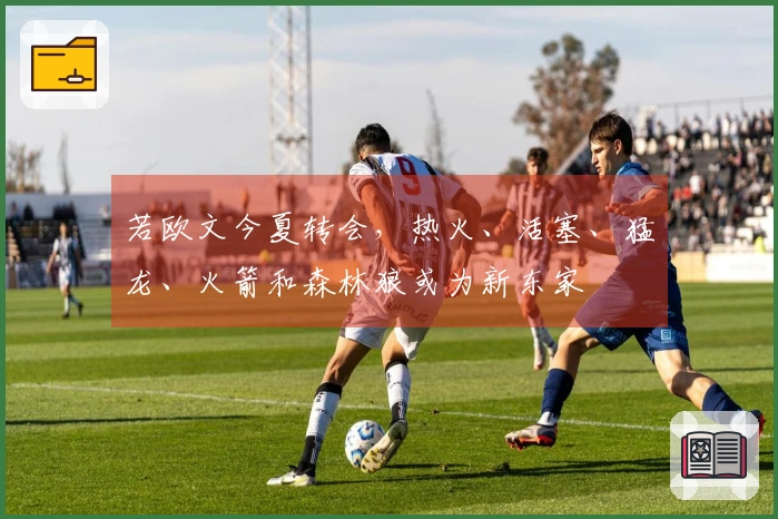 若欧文今夏转会，热火、活塞、猛龙、火箭和森林狼或为新东家
