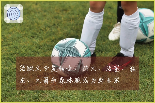 若欧文今夏转会，热火、活塞、猛龙、火箭和森林狼或为新东家